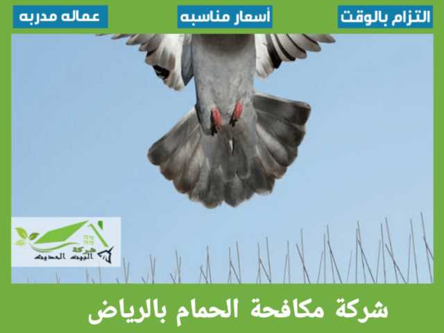 شركة مكافحة الحمام بالرياض