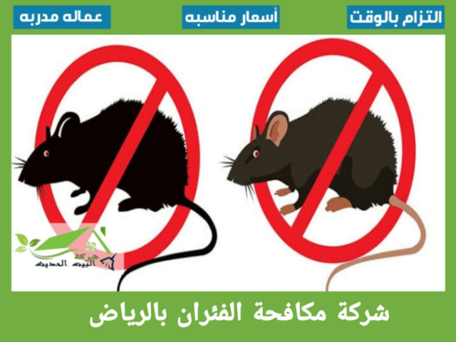 شركة مكافحة الفئران بالرياض